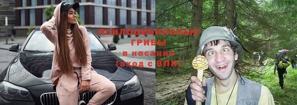 бошки Алексин