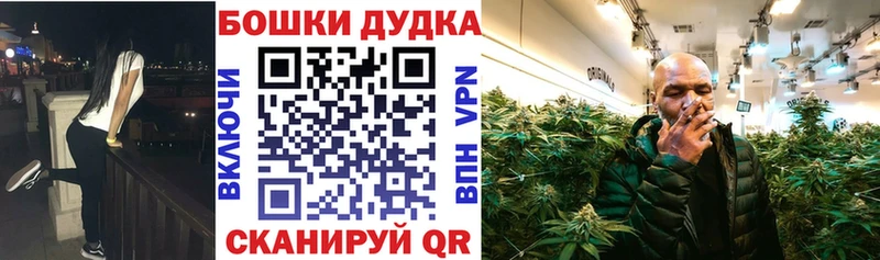 закладки  Фрязино  Канабис гибрид 